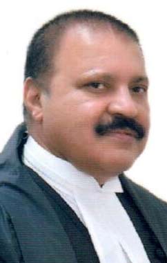 इलाहाबाद HC में जजों के पद भरने की Petition, सुनवाई 6 हफ्ते बाद